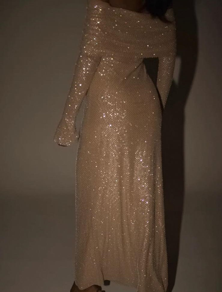 Long Glitter Dress